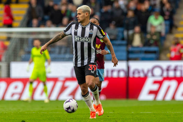 引进葡萄牙 引进葡萄牙