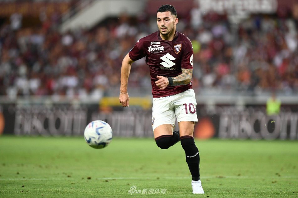 虚假申报等 虚假申报等